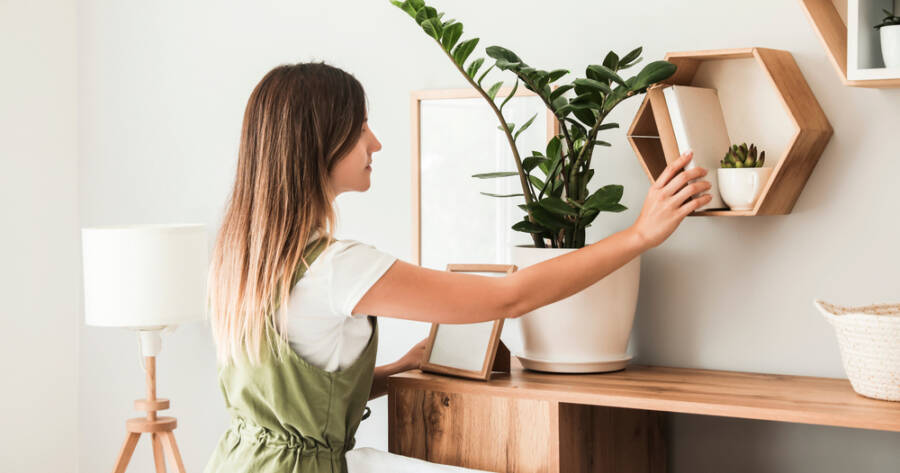 Your Guide to Furniture Thrift Stores for Unique Home Decor in 2026